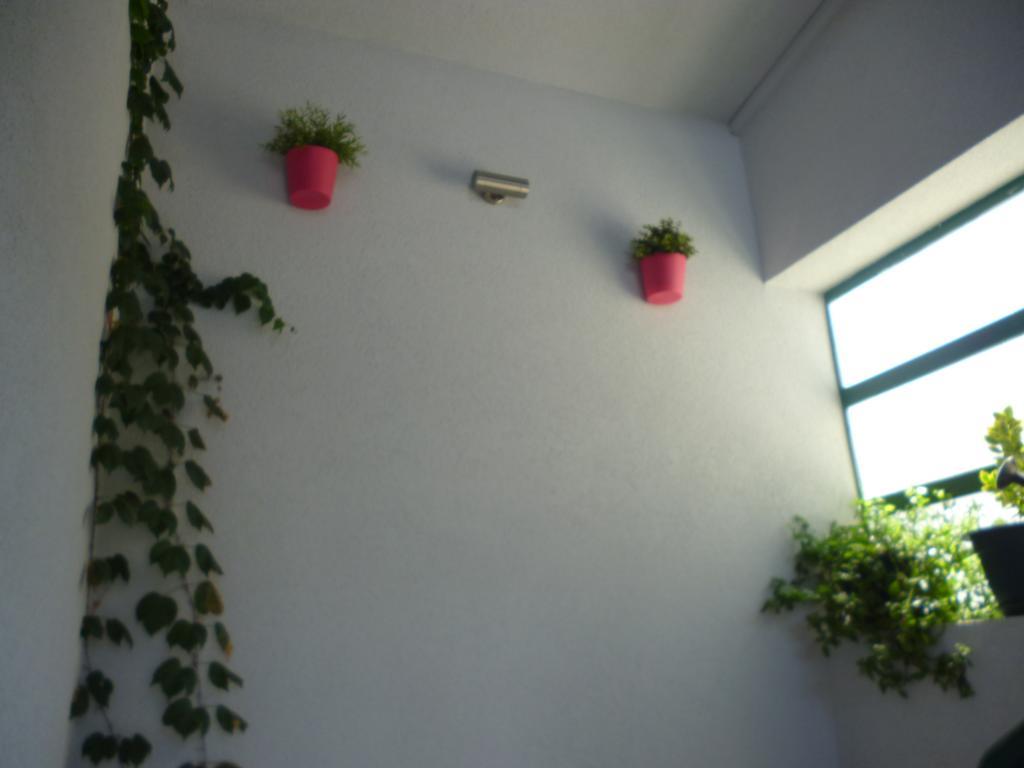 Apartment Duje Μακάρσκα Εξωτερικό φωτογραφία